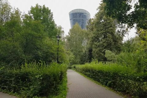 Понять роща