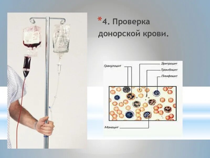Тест донорство с ответами