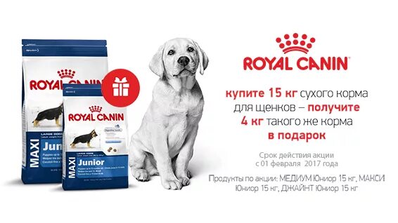 Хвостатый магазин корма для животных. Royal canin акция сухие корма 2:1. royal canin акция сухие корма. роял канин горячее.