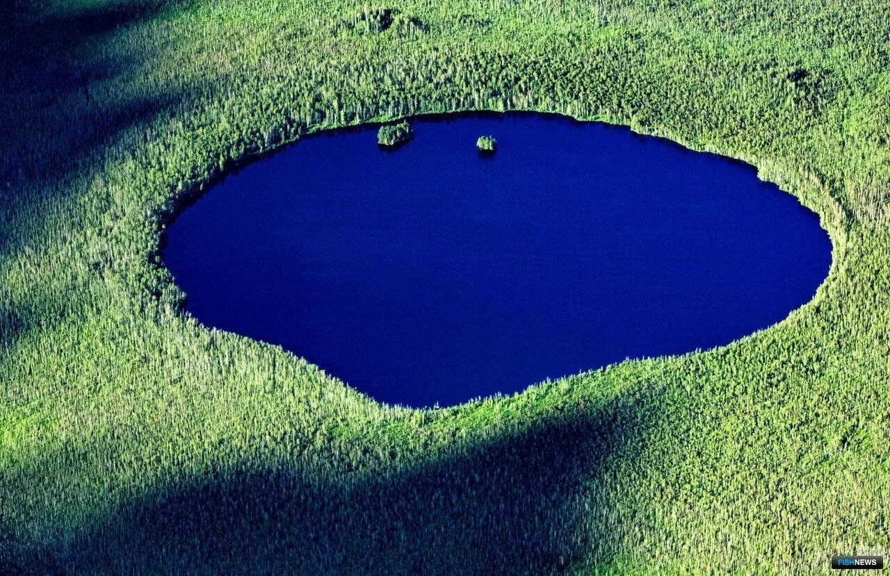 Сарасота озеро. Маленькое озеро. Самое маленькое озеро. Самый маленький водоем в мире. Озеро это замкнутый водоем