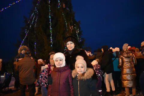 Мишкины елки