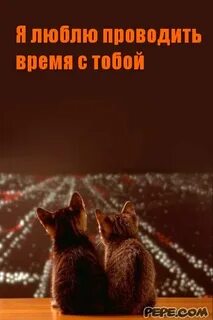 Наслаждаемся временем проведенным вместе