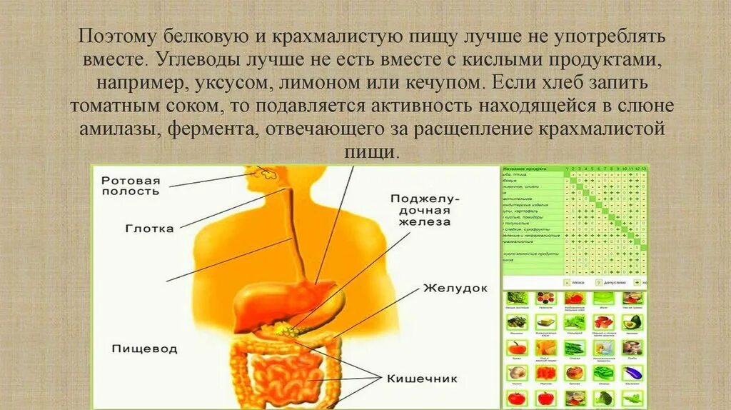 Питание углеводами и жирами для организма. Углеводы в питании. Что будет если не есть углеводы. Диета без углеводов список продуктов. Сложные углеводы список продуктов правильное питание.
