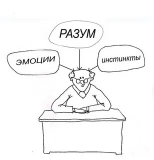 Инстинкт разум