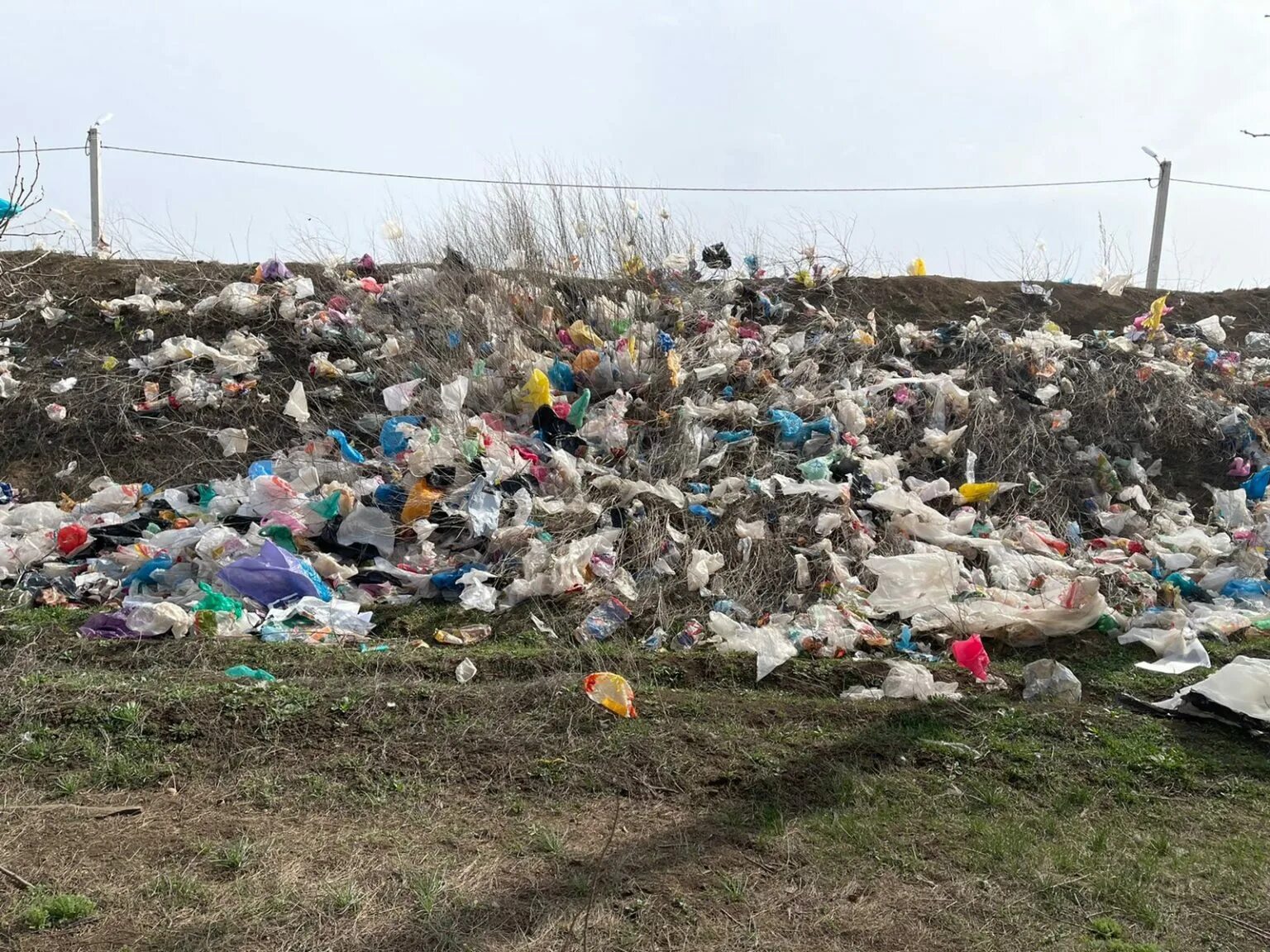 Экологическая катастрофа. Экологическая катастрофа рыба. Экологические катастрофы 2022 года. Бухта авачинская камчатка экологическая катастрофа. Экологические катастрофы 2022.