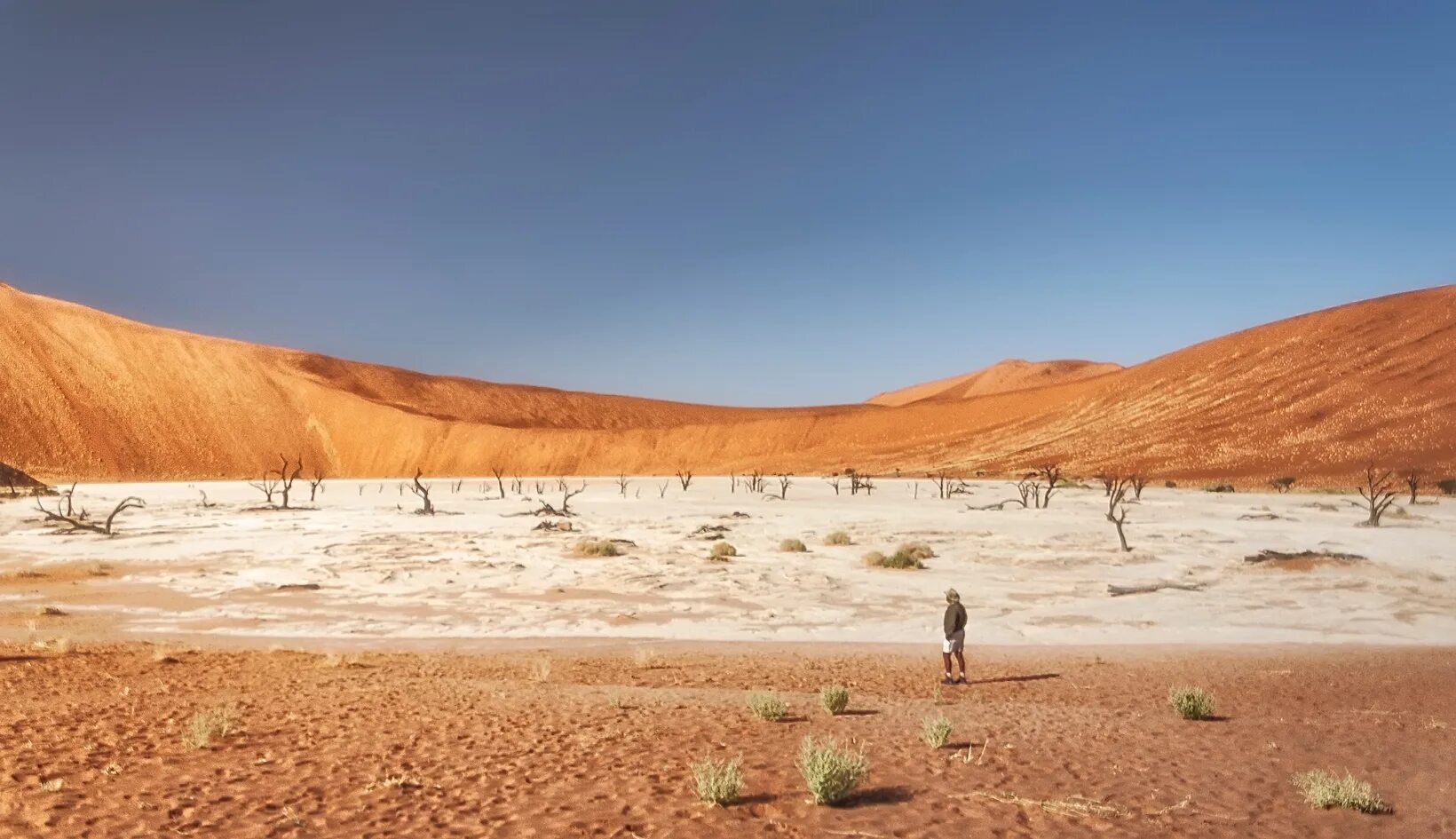 Good africa. Намибия туризм. Намиб 3 беж. Namibia 1989. Перспективы развития Намибии.