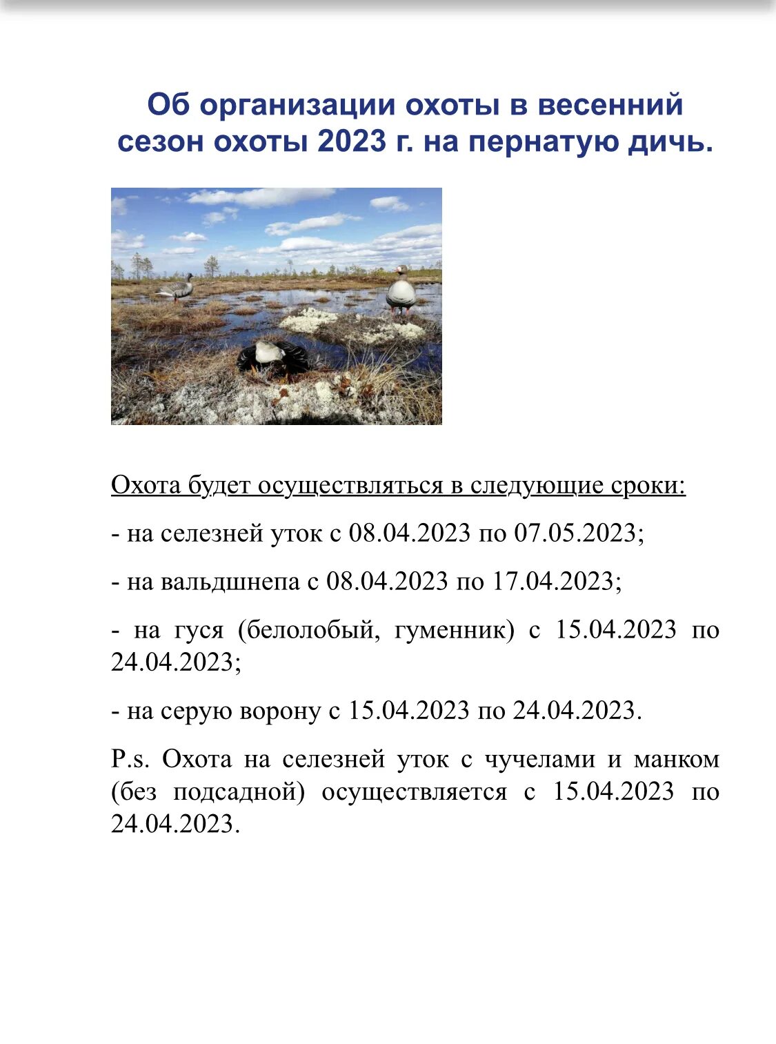 Охота 2023 сроки. Весенняя охота 2023 сроки. Сроки весенней охоты 2023 во Владимирской области.