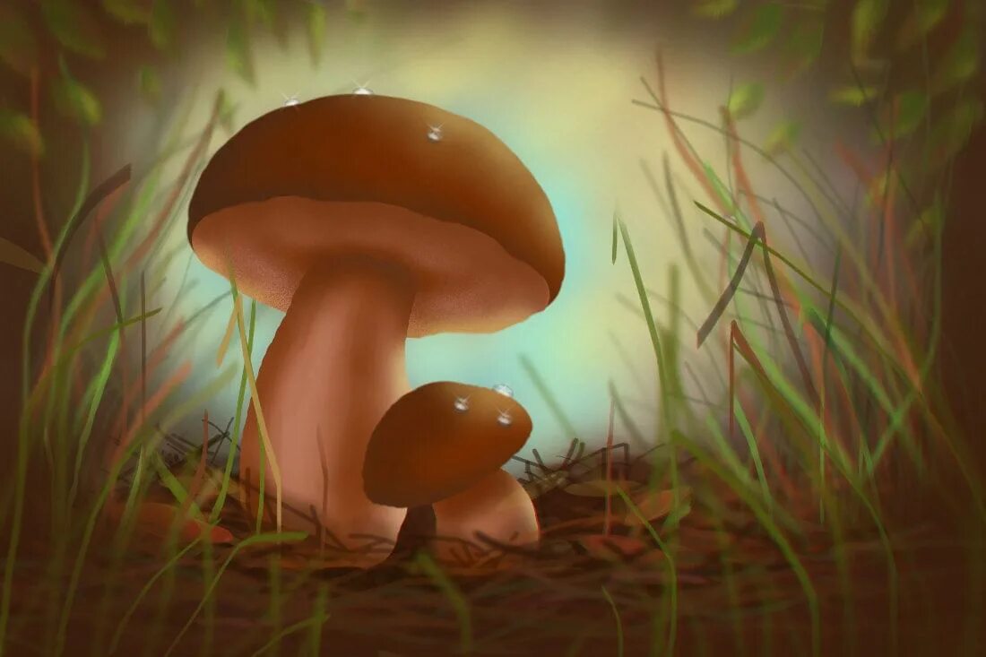 Файл:Грибок раскраска.png - Википедия