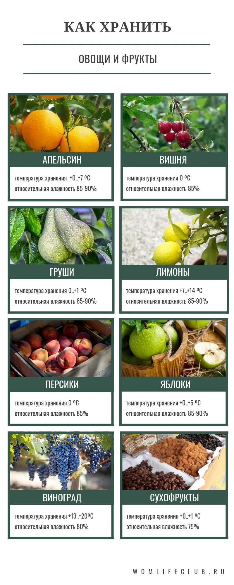 Овощи при температуре. Тайминг приготовления овощей. Овощи при температуре. Оптимальная температура хранения для хранения овощей. Таблица варки овощей.