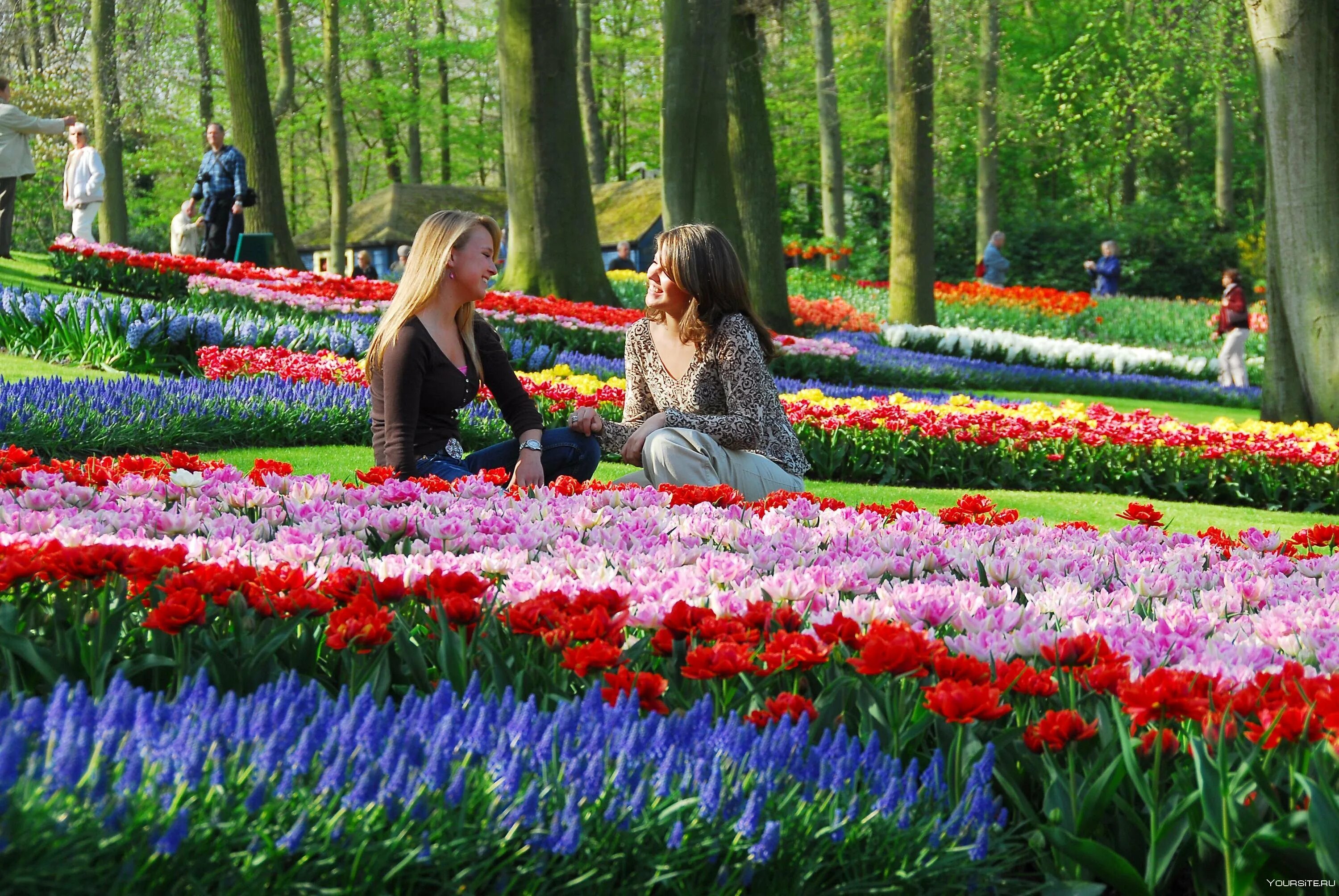 Keukenhof Gardens Нидерланды. Койкенхоф парк тюльпанов. Парк «Кекенхоф» (Keukenhof) летом. Парк цветов в Голландии Кекенхоф.