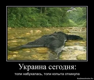Ничего определенного