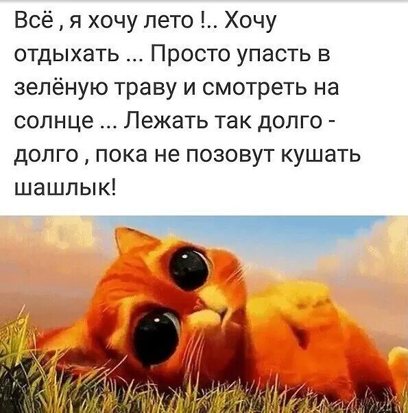 Хочу чтобы было лето