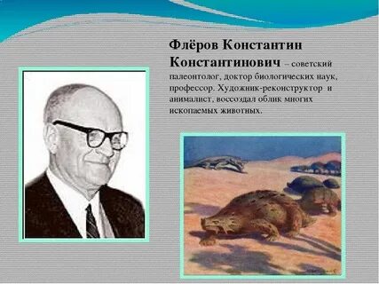 Класс флеров