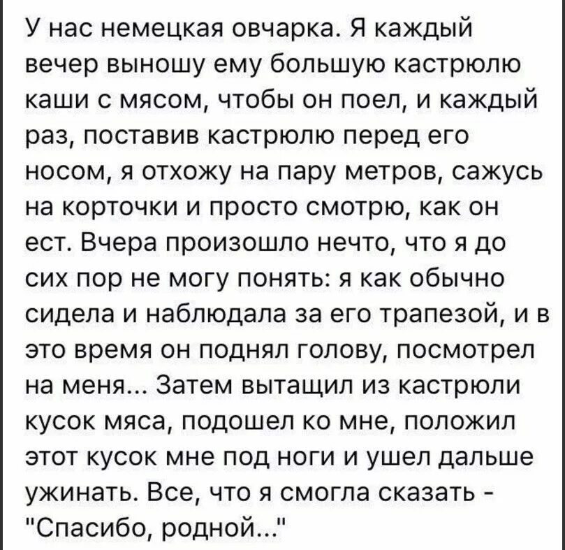 Рассказ о жизни простых людей. Рассказы короткие интересные из жизни. Смешные истории из жизни. Короткие истории из жизни. Интересные рассказы из жизни людей.