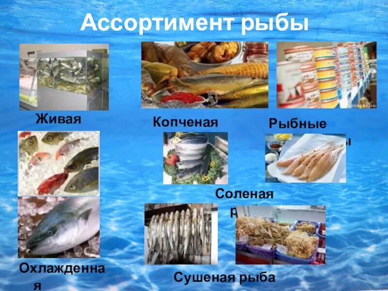 Картинки АССОРТИМЕНТ И ХАРАКТЕРИСТИКА РЫБЫ