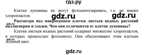 Краткое содержание биологии 5 класс параграф 18
