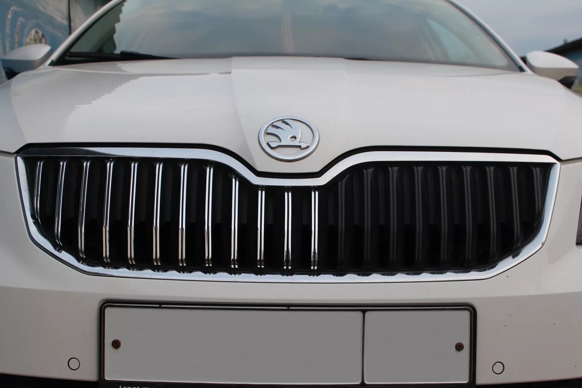 Решетка радиатора шкода а5. Решетка шкода. Решетка шкода. Решетка радиатора шкода а7. Решетка радиатора skoda superb 2020.