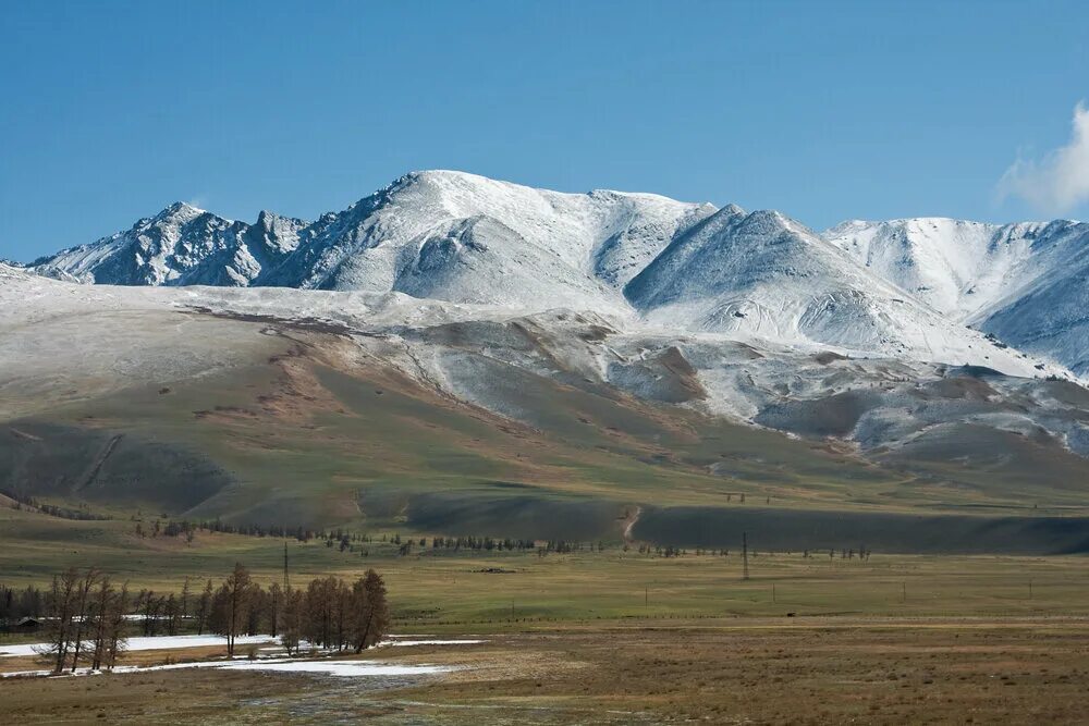 курайский хребет горный алтай. курайский хребет горный алтай. курайский хребет. курайский хребет алтай. курайский хребет.