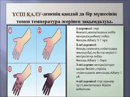 Орыс мұғалімімен секс порно видео