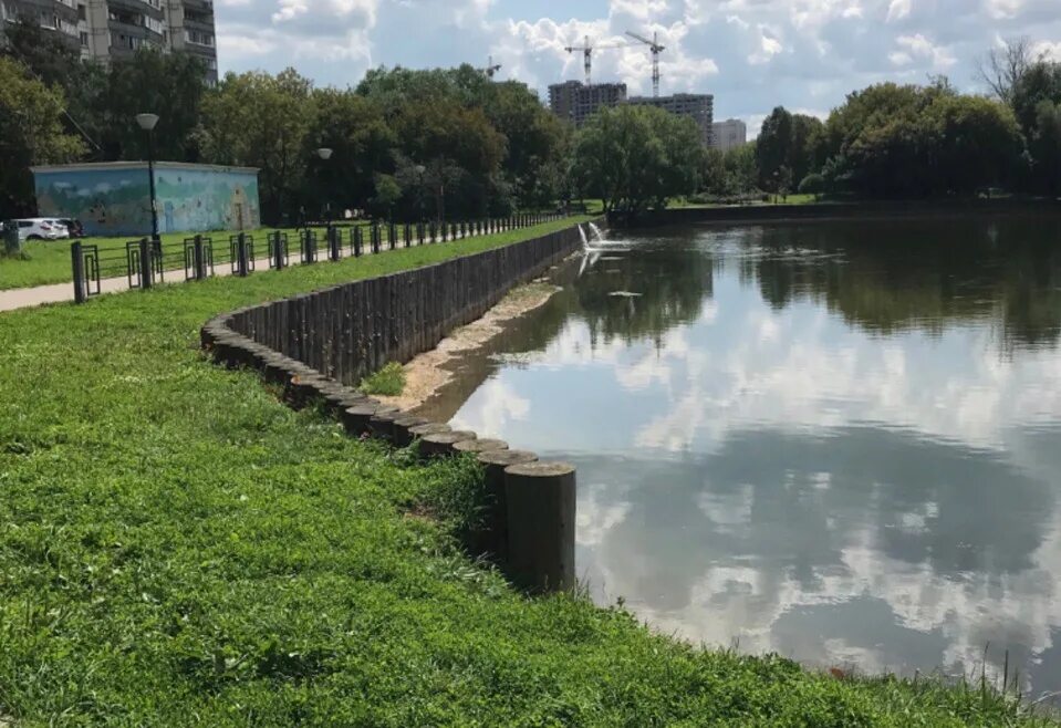 Килограмм в прудах. Нижний Афонинский пруд Москва. Парк Зюзино пруд. Пруд Зюзино Москва. Нижний Афонинский пруд (Каховский пруд).