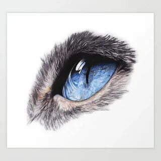 Cat eyes art