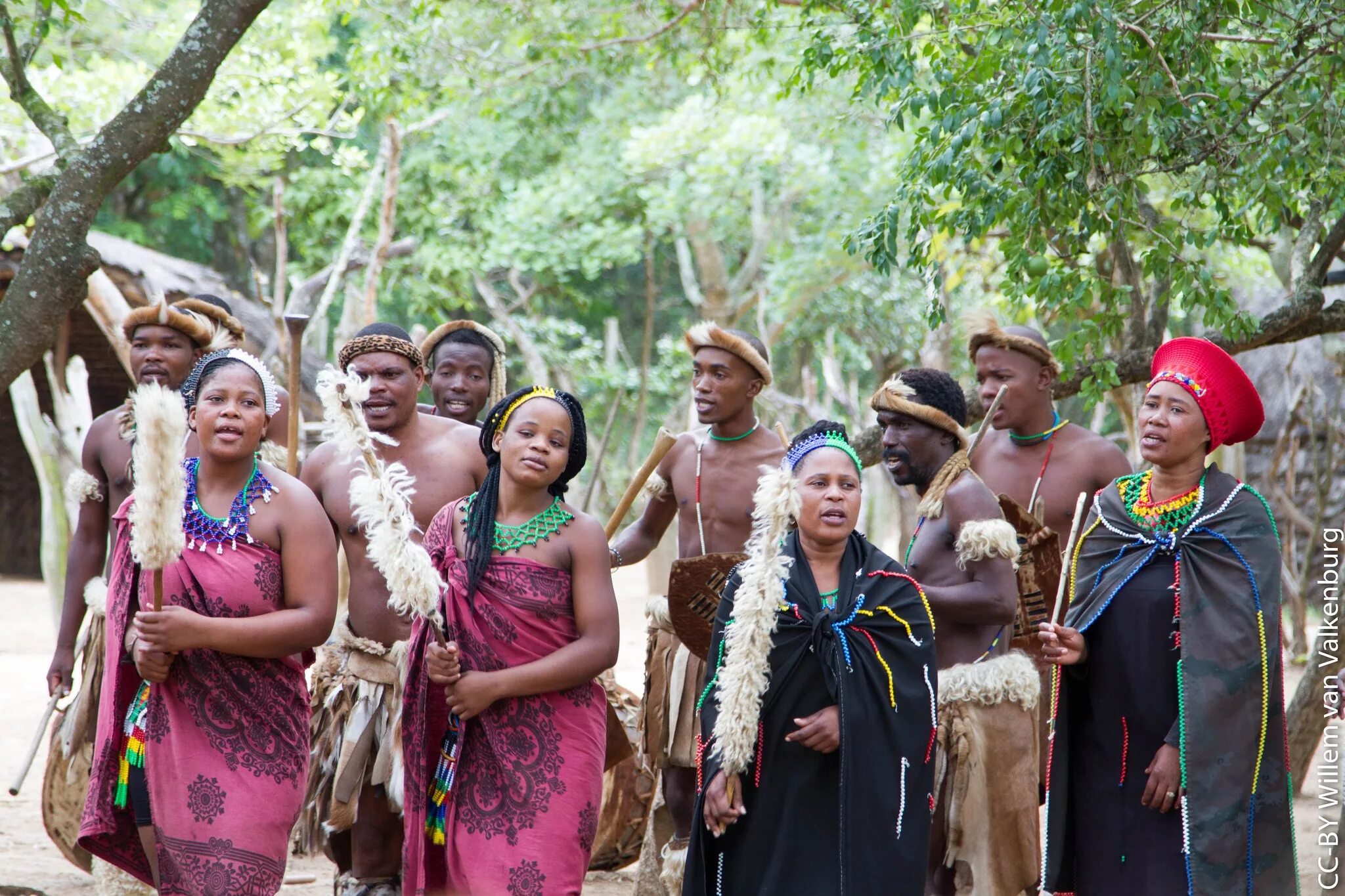 Племя зулусов. Кафры народ. Кафры народ Африки. Женщины племени зулусов. Zulu tribe