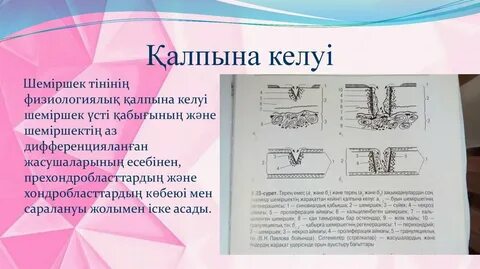 Қалпына келу