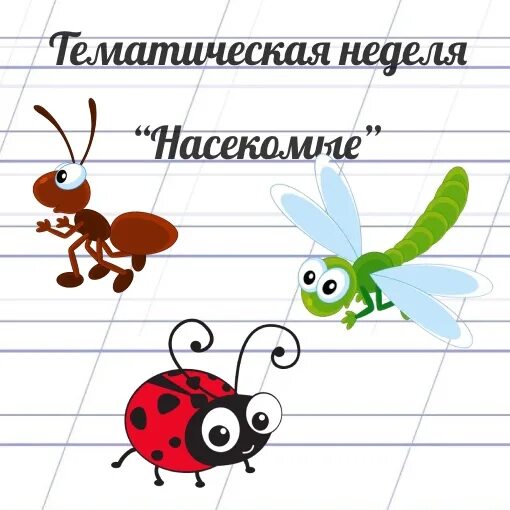 Неделя насекомые средняя группа