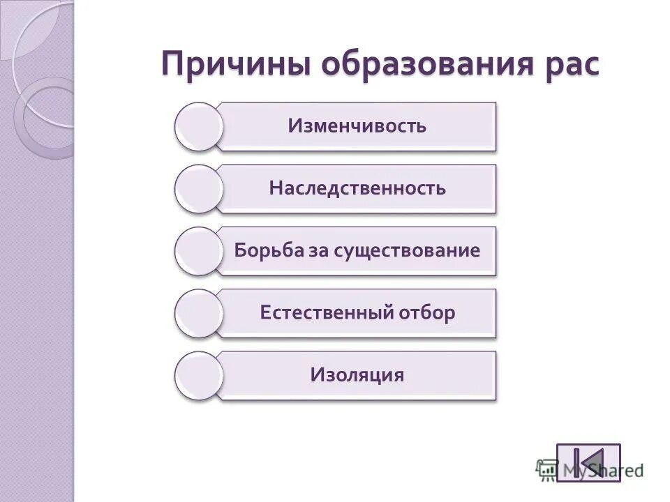 Факторы образования рас. Образование рас. Как возникали расы и какие условия способствовали их образованию. Гипотезы возникновения рас человека. Образование рас.