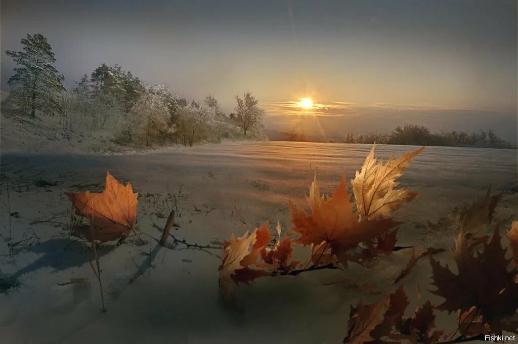 Зима уходит. Зимняя метель. Стужа вьюга. Давно погасла в зимней мгле. Зима метель.