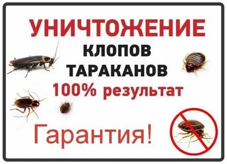 Тараканы в квартире сэс