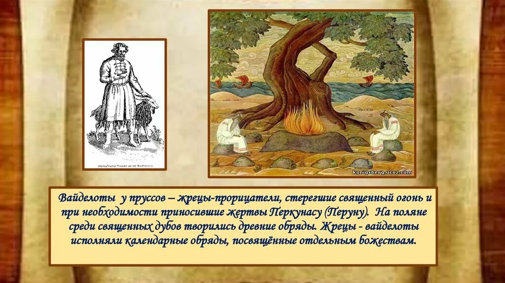 Древний жрец прорицатель