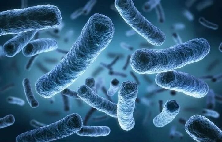 Бактерии устойчивые к антибиотикам. Микроорганизмы устойчивые к антибиотикам. Антибиотики и микроорганизмы. Резистентность микроорганизмов. Резистентный микроб.