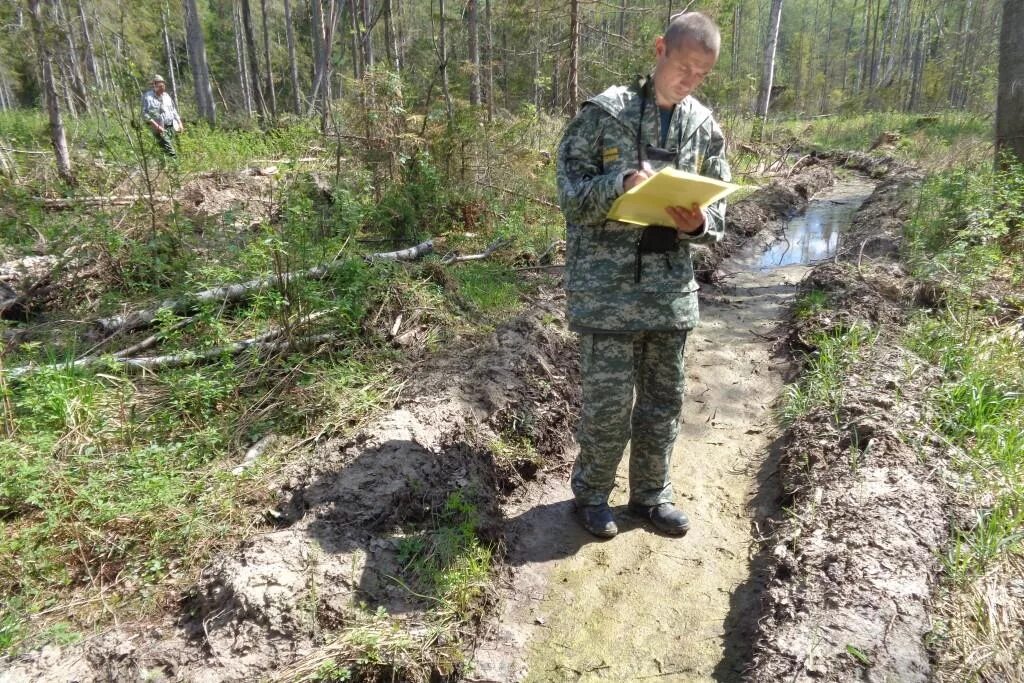 Директор департамента лесного хозяйства ярославской области. Министерство лесного хозяйства ярославской области. Ярославская область лесное хозяйство. Ярославское лесничество. Департамент лесного хозяйства ярославской области.
