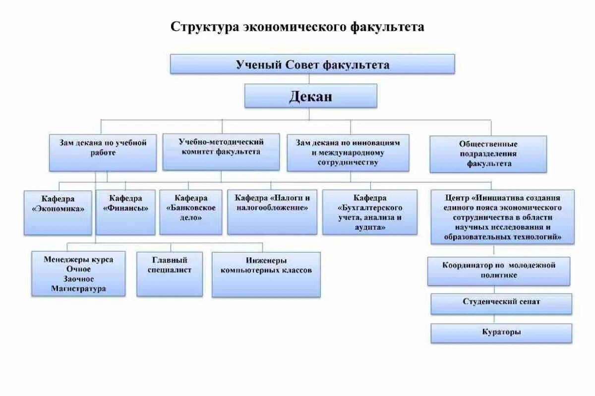 Организационная структура факультета вуза. Структура экономического факультета ДОННУ. Организационная структура донецкого национального университета. Организационная структура экономического факультета. Структура мгу