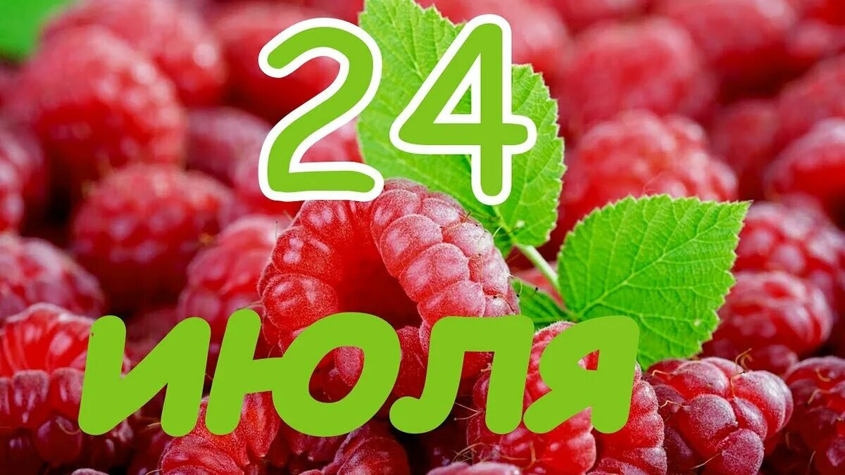 Июль 24 2012. Июль 24 2012