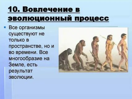 Процесс эволюционного развития культуры включающий