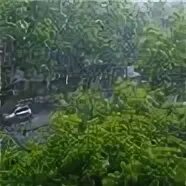 Тайфун яги видео