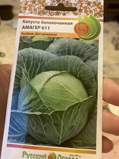 Капуста амагер характеристика отзывы и описание сорта