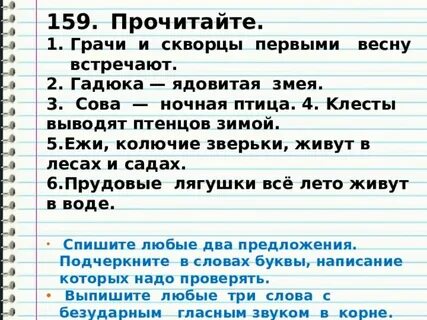 Гадюка проверочное слово