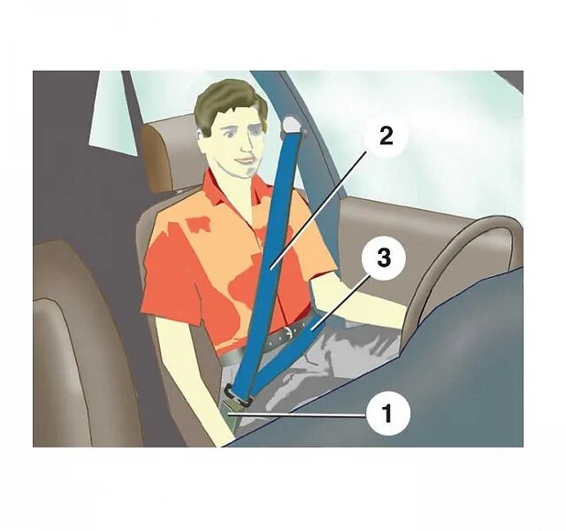 Ремень безопасности регулировка. Правильное положение ремня безопасности. Регулировка ремня безопасности автомобиля. Регулировка ремня безопасности по высоте. Строение ремня безопасности.