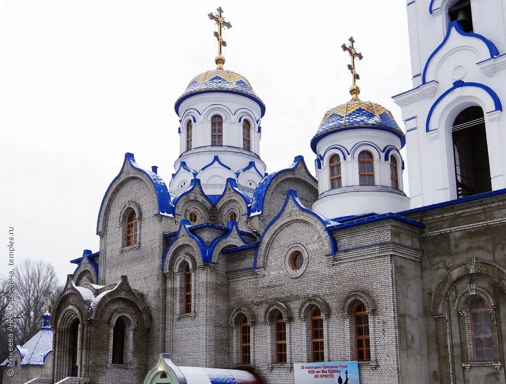 донского воронеж храм