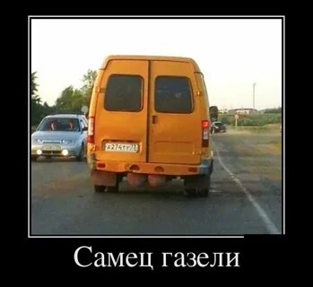Хуже газели