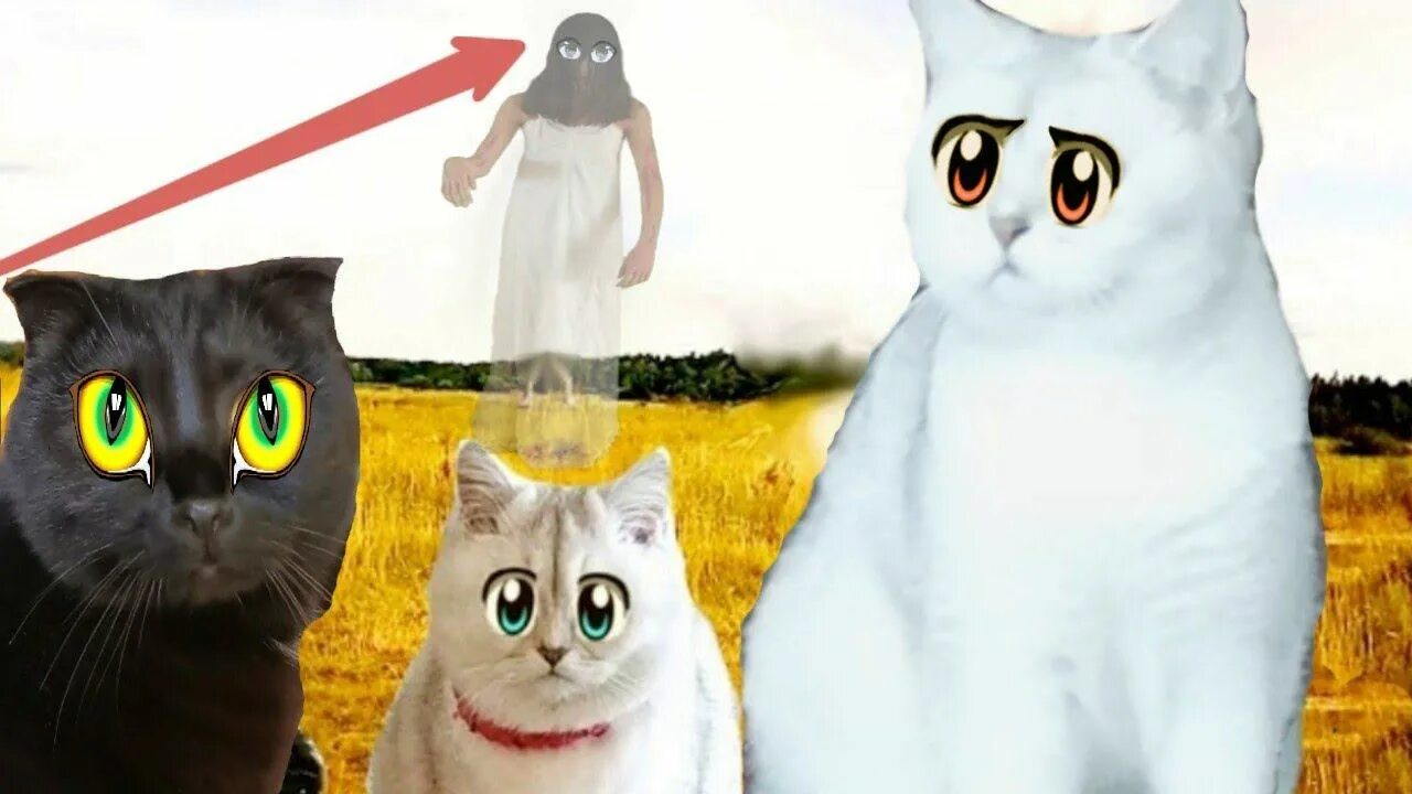 Сиреноголовый и кошки. Кольок канал с кошками канал. Кошка марфа. Включи коль ок. Включи коль ок.