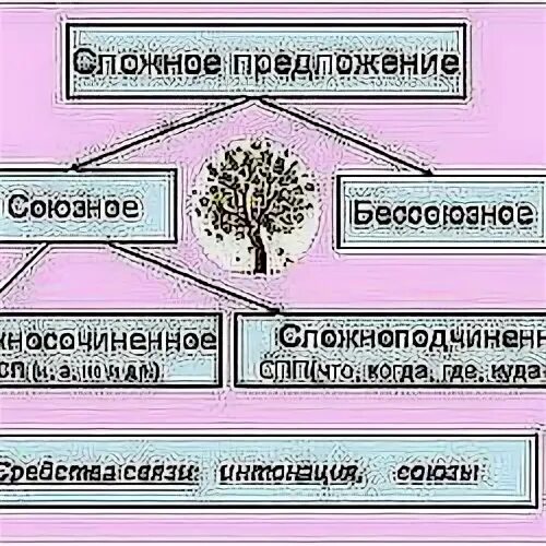 Тест по теме сложное предложение 4 класс. Контрольная работа по теме: «осложнённое предложение».