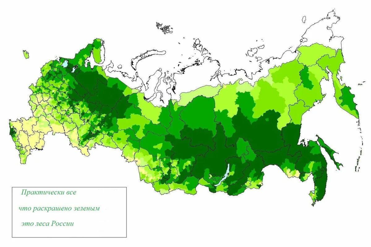 Леса половина территории россии. Карта лесистости территории России. Карта лесов РФ. Карта плотности лесов России. Карта лесных ресурсов России.