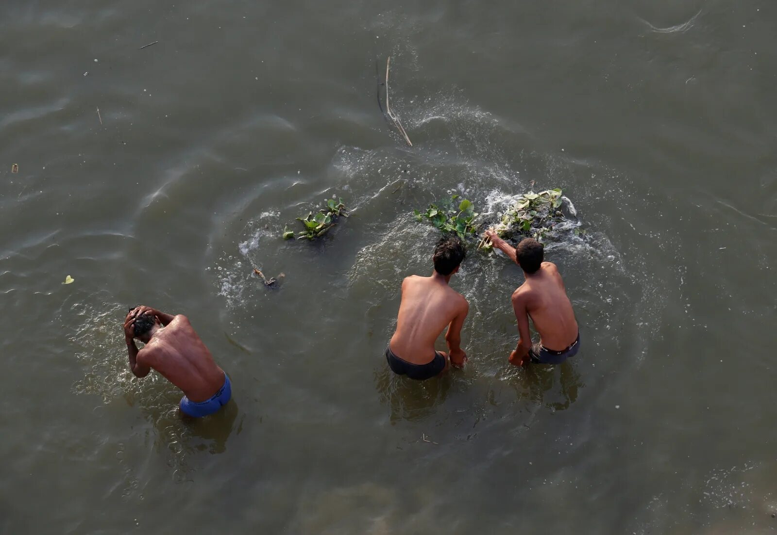 К чему снится плавать в мутной воде
