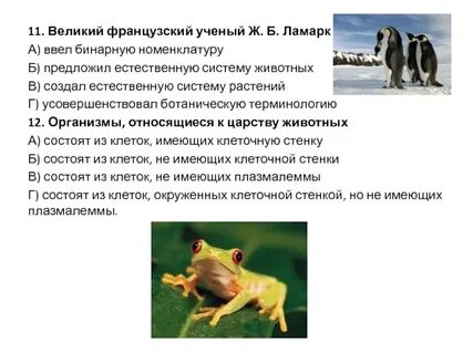 Бинарные животные