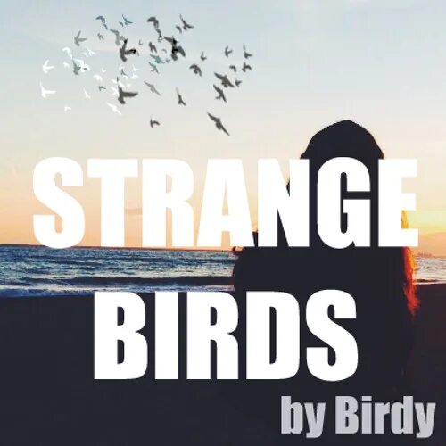 Птица вектор. Ноты birdy strange birds. Strange birds ноты. Annie lennox little bird. Poorwill bird перевод.