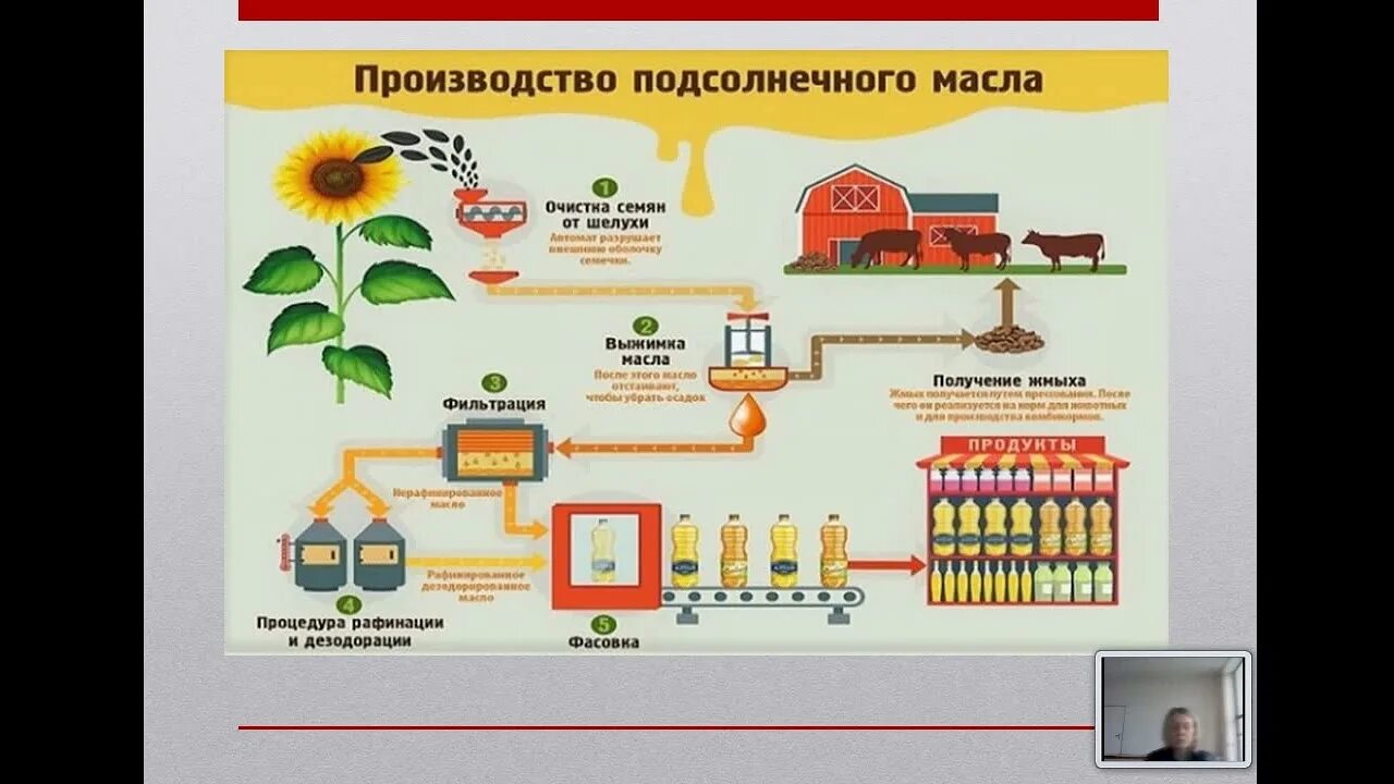 Технологическая схема рафинации растительных масел. Технологическая схема рафинации подсолнечного масла. Схема производства рафинированного масла. Схема производства соевого масла. Способы переработки растений